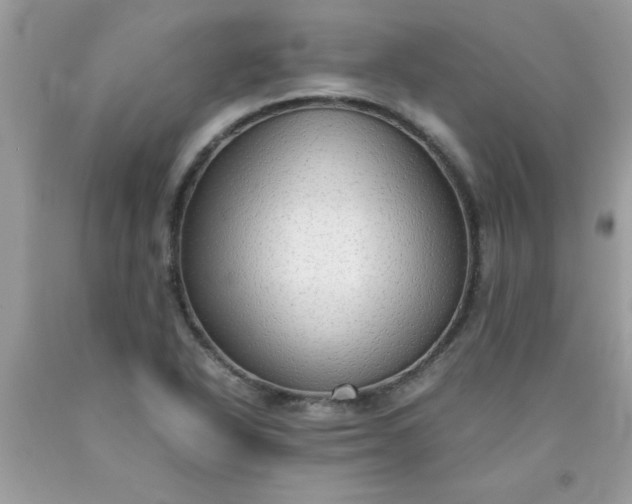 X0000090471318200707272249