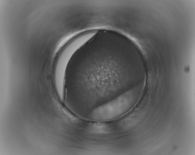 X0000090471319200707272249