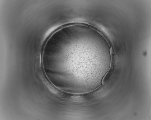 X0000090471320200707272249