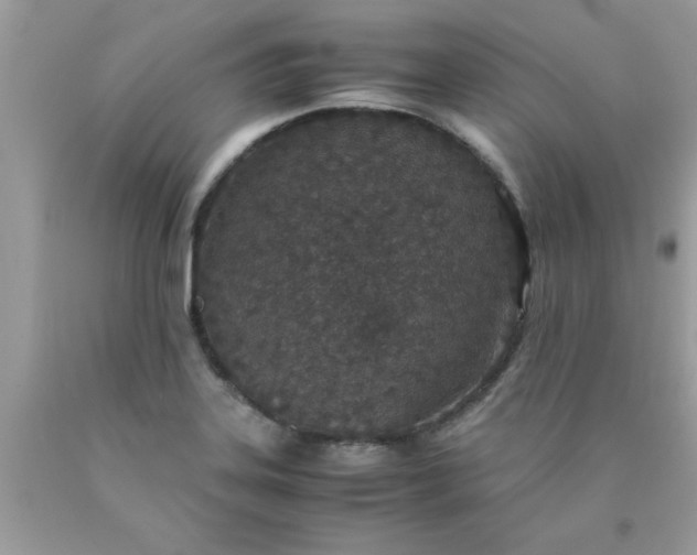 X0000090471323200707272249