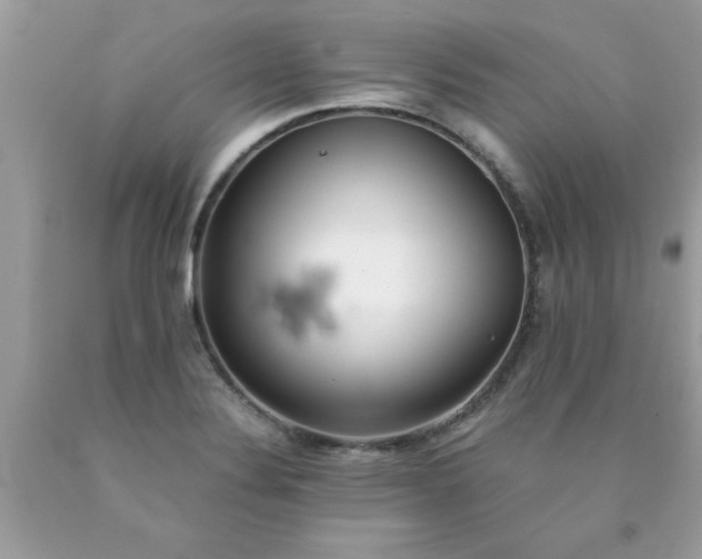 X0000090471324200707272249