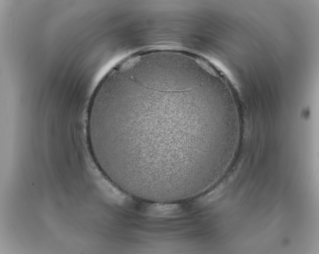 X0000090471325200707272249