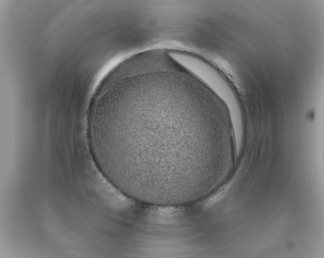 X0000090471326200707272249