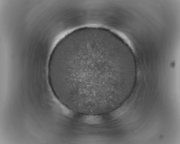 X0000090471327200707272249