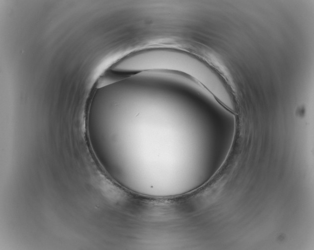 X0000090471328200707272249