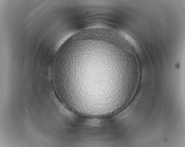 X0000090471329200707272249