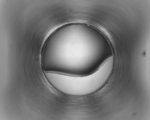 X0000090471332200707272250