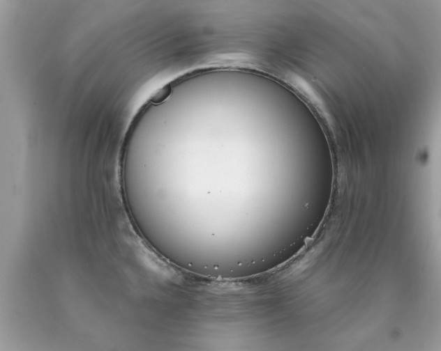 X0000090471336200707272250