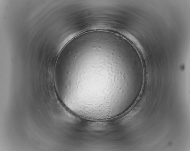 X0000090471337200707272250