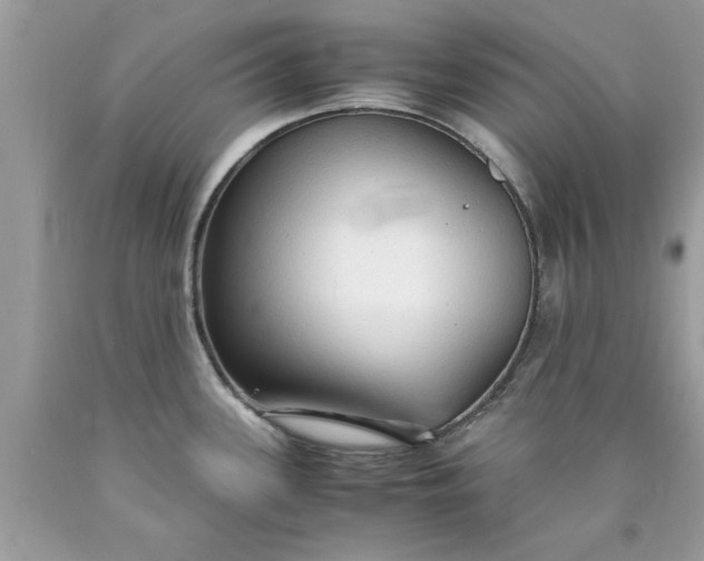 X0000090471339200707272250