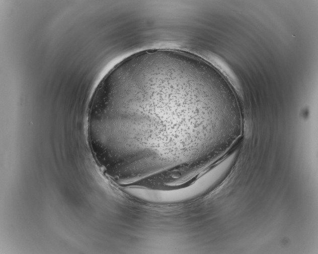 X0000090471340200707272250