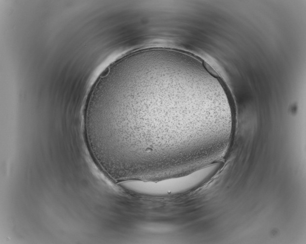 X0000090471341200707272250