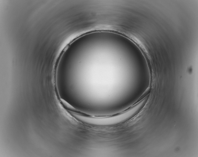 X0000090471342200707272250