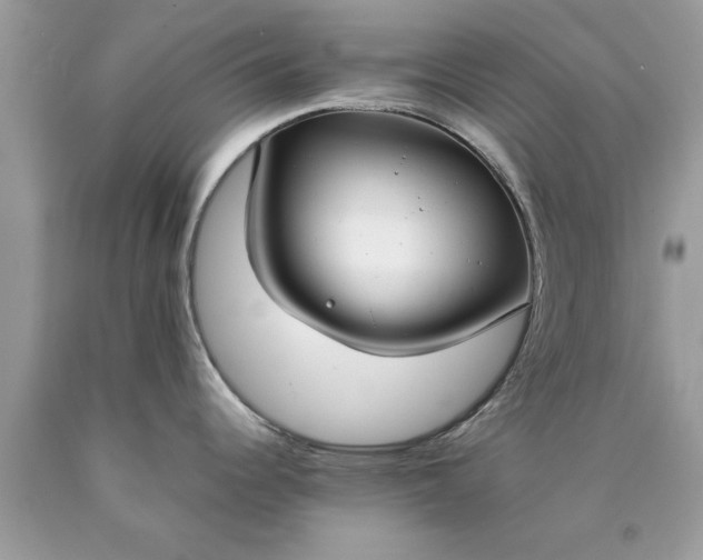 X0000090471344200707272250