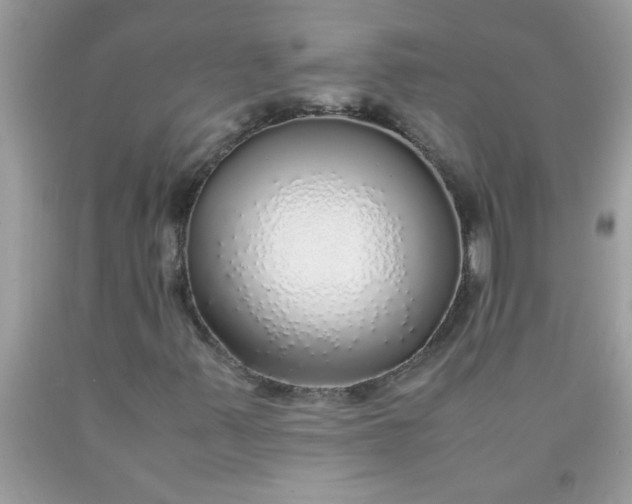 X0000090471347200707272249