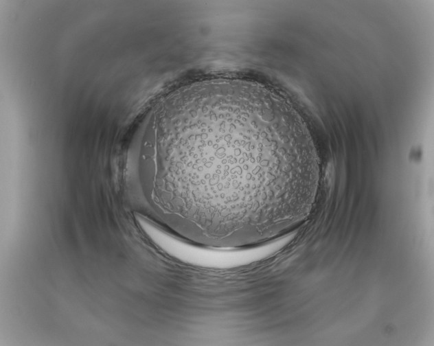 X0000090471348200707272249