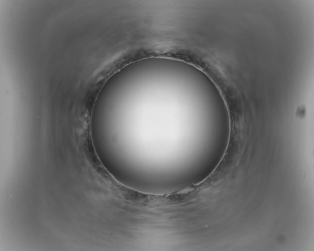 X0000090471349200707272249