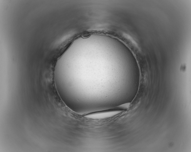 X0000090471350200707272249