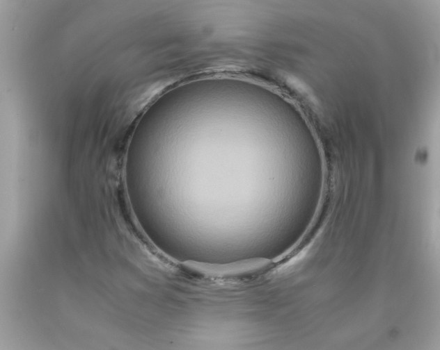 X0000090471353200707272249