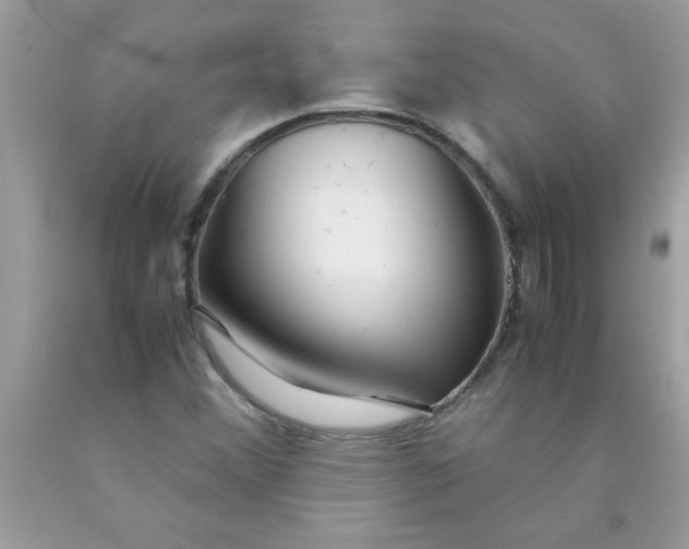 X0000090471356200707272249