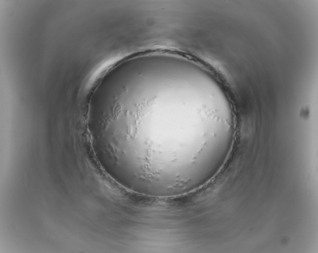 X0000090471359200707272249