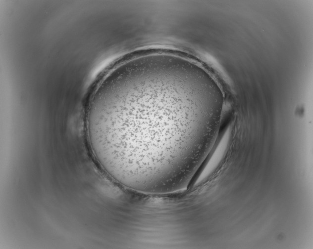 X0000090471360200707272249