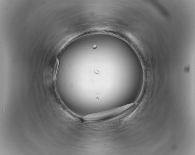 X0000090471361200707272249