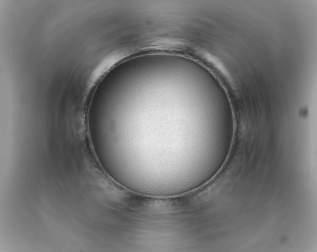 X0000090471362200707272249