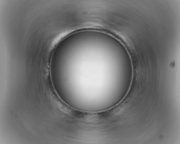 X0000090471363200707272249