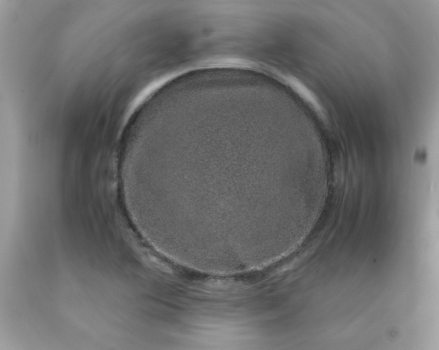 X0000090471364200707272249