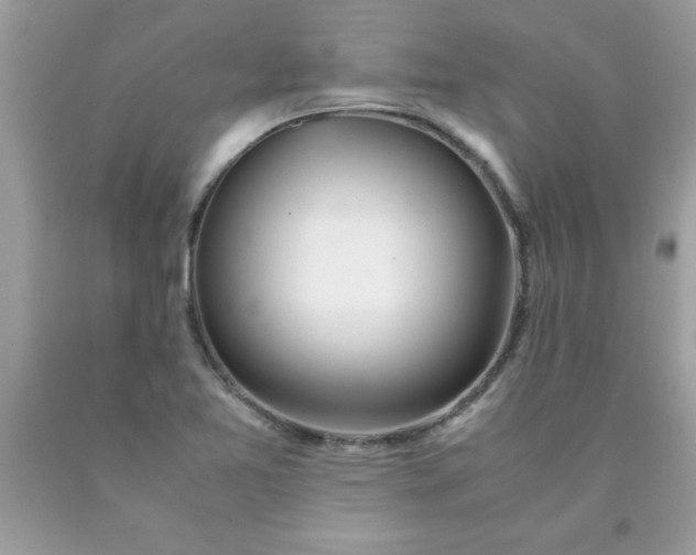 X0000090471365200707272249