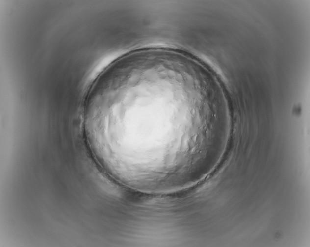 X0000090471367200707272249