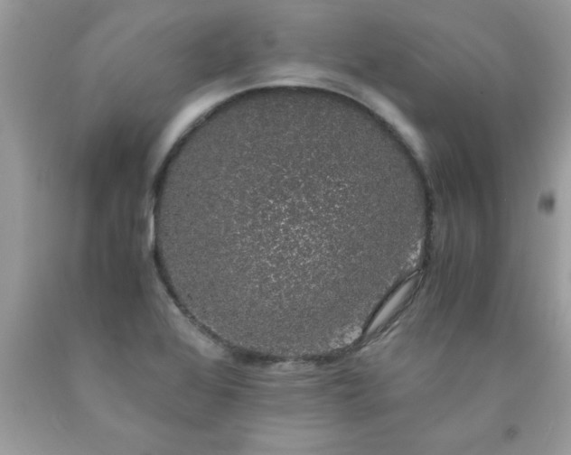 X0000090471368200707272249