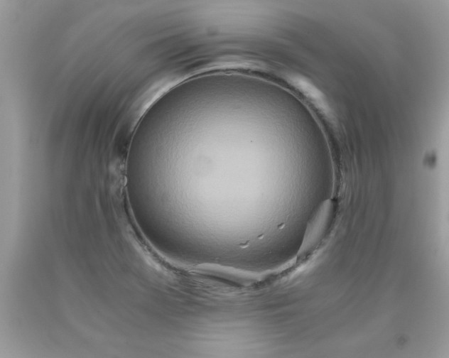 X0000090471369200707272249