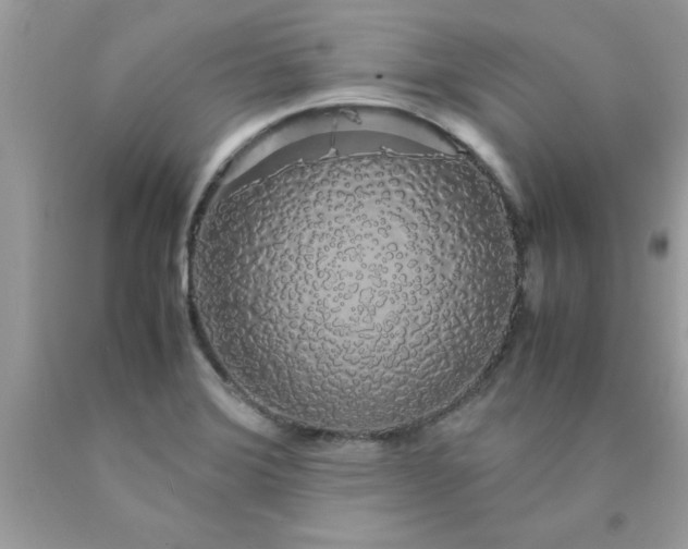 X0000090471372200707272249