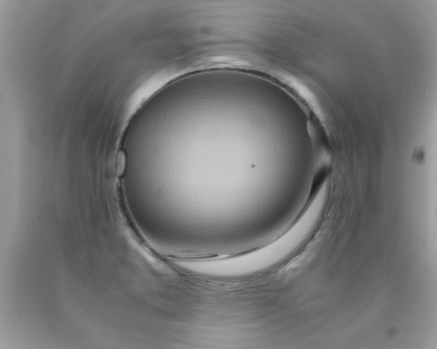 X0000090471373200707272249