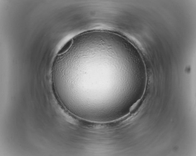 X0000090471375200707272249