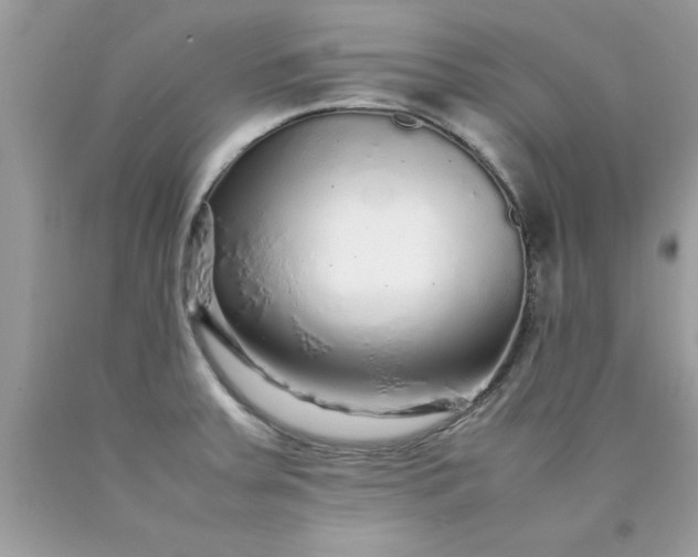 X0000090471379200707272249