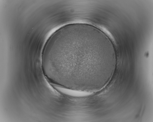 X0000090471380200707272249