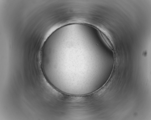 X0000090471382200707272249