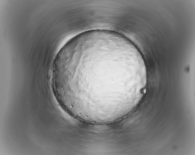 X0000090471383200707272249