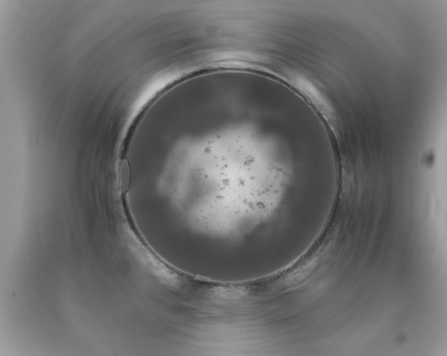 X0000090471384200707272249