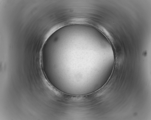 X0000090471386200707272249