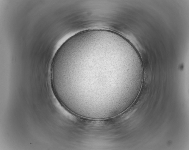 X0000090471387200707272249