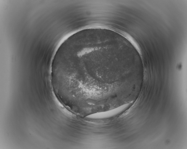 X0000090471388200707272249