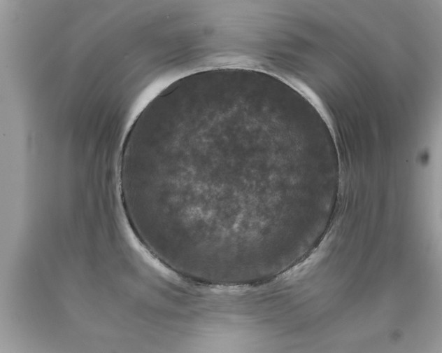 X0000090471389200707272249