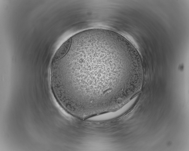 X0000090471391200707272249