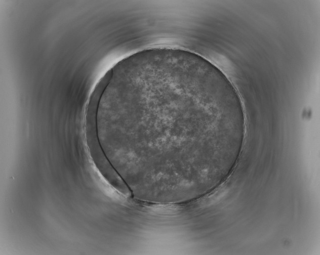 X0000090471392200707272248