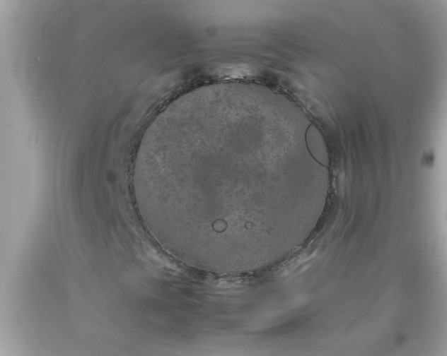 X0000090471393200707272248