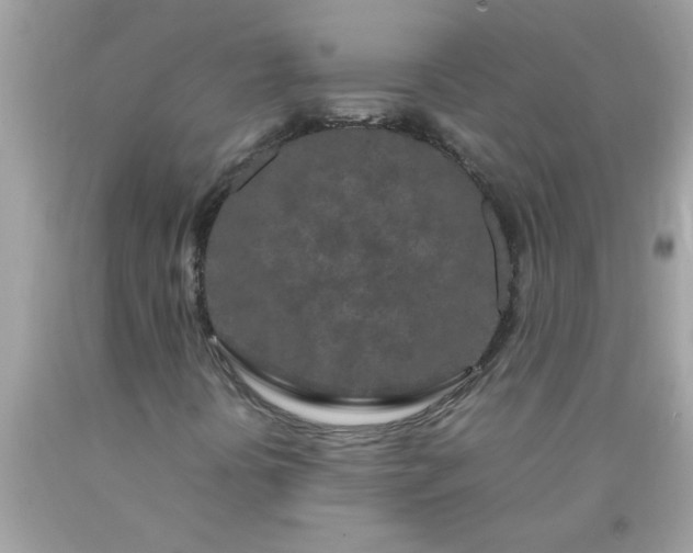 X0000090471394200707272248